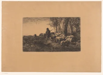 Hirte mit einer Gruppe Schweine