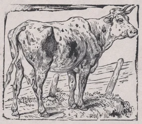 Eine Kuh, ca. 1853