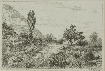 Landschaft