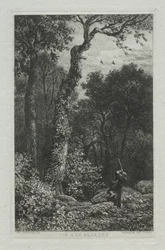 Schießen auf den Waldschnepfen