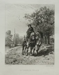 Der Treidelpfad