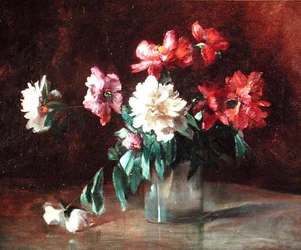 Pfingstrosen in einer Vase