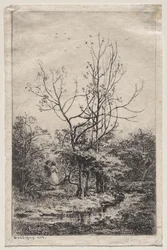 Der Obstgarten