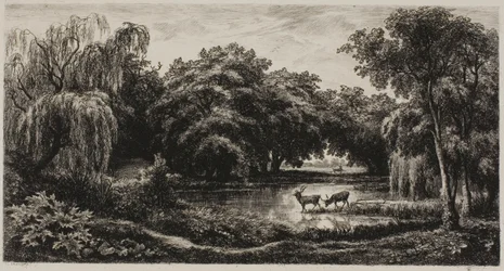 Sumpf mit Hirschen