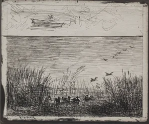 Sumpf mit Enten, Originaldruck 1862, gedruckt 1921
