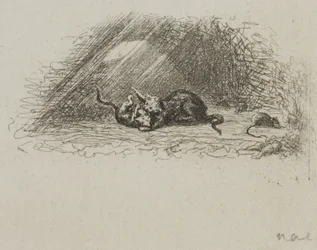 Die Zeder von Libanon