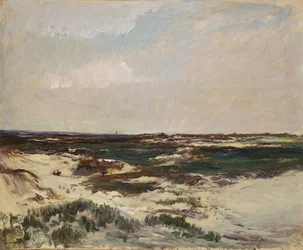 Die Dünen bei Camiers