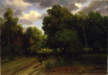 Die Kreuzung des Adlernestes, Wald von Fontainebleau