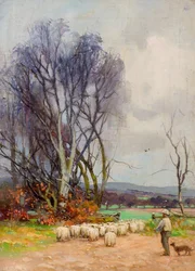 Blick von der Strathmartine Road, Downfield, Dundee