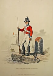 Ein Soldat der Royal Marines, graviert von Joseph Constantine Stadler, veröffentlicht 1815 (Aquatinta)