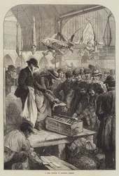 Fischauktion auf dem Columbia-Markt