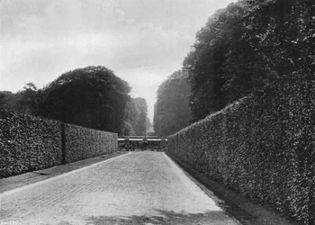 Eine Aussicht vom breiten Weg