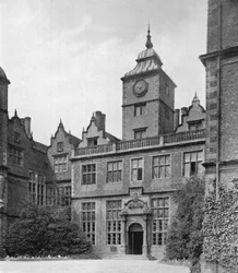 Zwischen den Flügeln