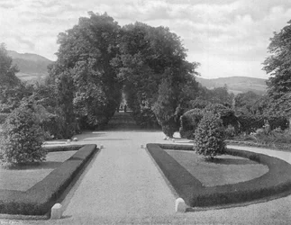 Von der Eingangsterrasse - Grenzen von weißem Heidekraut