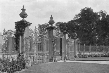 In scharfer Perspektive