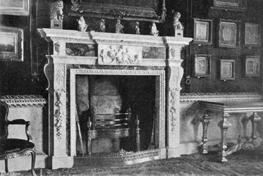 Der Kamin im Samtzimmer