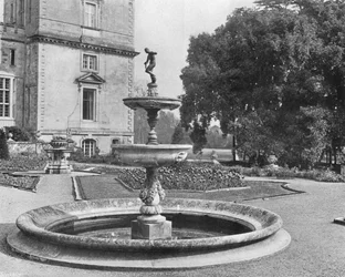 Die Steineiche und der Brunnen