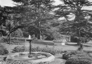 Der Rasen und seine Verzierungen