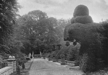 Die westliche Terrasse