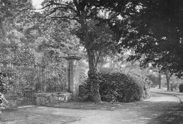 Unter einem Eibenbaum