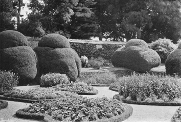 Unter der Steineiche