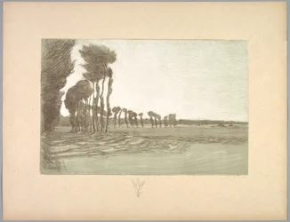 Suite von Landschaften: Landschaft, Platte 5, Remarque, Drei Weizenhalme