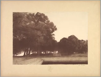 Suite de Paysages: Landschaft, Platte 7, Remarque, Mohnblumen, 1892-1893