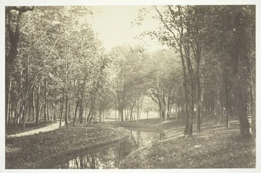 Ohne Titel [Bäume in der Nähe von Wasser im Bois de Boulogne, einem Park in Paris]