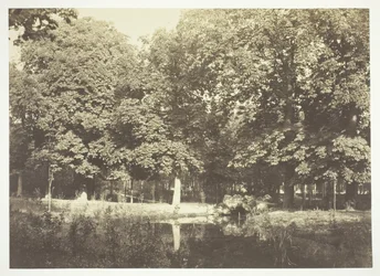 Ohne Titel, ca. 1850. [Bäume in der Nähe von Wasser im Bois de Boulogne, einem Park in Paris]