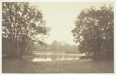 Ohne Titel, ca. 1850. [Bäume in der Nähe von Wasser im Bois de Boulogne, einem Park in Paris]
