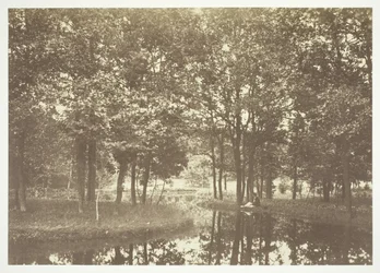 Ohne Titel, ca. 1850. [Bäume nahe Wasser im Bois de Boulogne, einem Park in Paris]