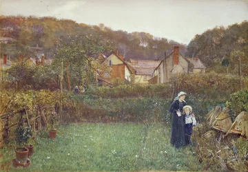 Die Bienen erzählen