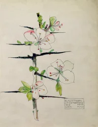 Schwarzdorn, Chiddingstone, Kent, 1910