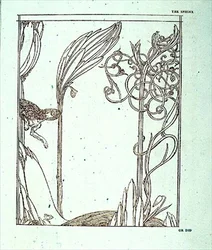 Illustration für 