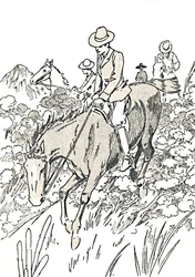 Die meisten dieser Tiere werden gejagt, 1912