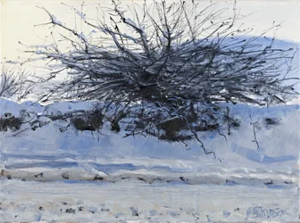 Weißdorn, 2011