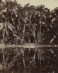 Tetiaroa - Eine Lagune der Paumotu, 1880er oder 1890er Jahre