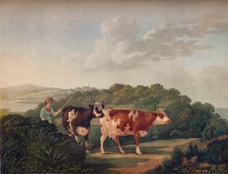 Englische Landschaft mit Shorthorn-Rindern, spätes 18. - frühes 19. Jahrhundert, 1930