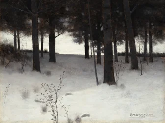 Wald im Winter