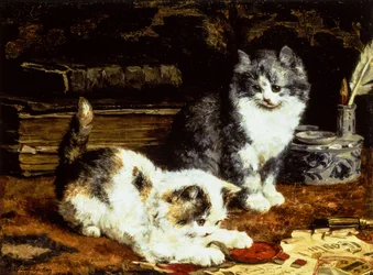 Zwei Kätzchen spielen auf einem Schreibtisch