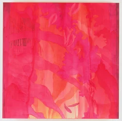 Maskarenen Maya, 2000