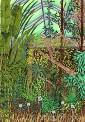 Botanischer Garten, 2017