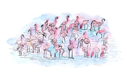Flamingos 2, 2018