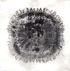 Pflanzenzellen, 2019