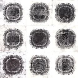 Pflanzenzellen, 2019