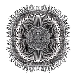 Pflanzenzellen, 2019