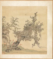 Ein alter Baum
