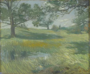 Wiesen, ca. 1900-10