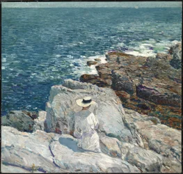 Die südlichen Klippen, Appledore