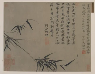 Ein Bambuszweig, möglicherweise Qing-Dynastie